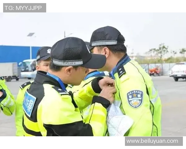 西安飞盘队的奋进之路与马拉松大满贯的精彩交汇